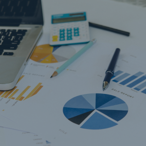 Analysis of Agency Costs